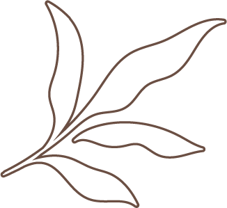 recellica-leaf-03@3x